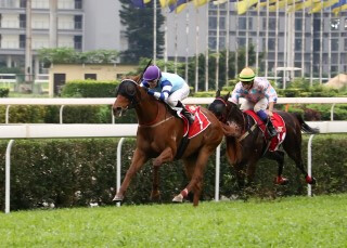 Huka Eagle (NZ) wins the Listed Chairman's Challenge Cup. Photo: Macau Jockey Club